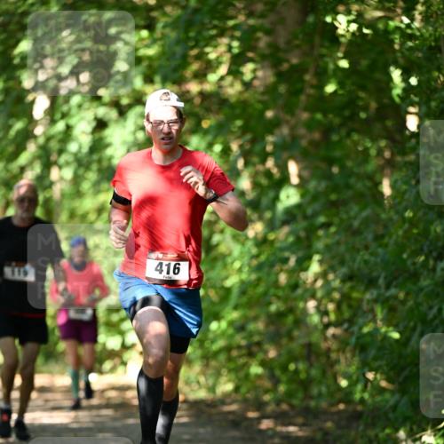 06.10.2024 - Bramfelder Halbmarathon 2024 Dr. Thomas Lammeyer http://msf.ph/oto/7341532 06.10.2024 10:49:59 Laufen 416 meine-sportfotos.de
