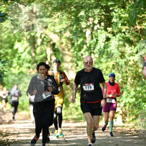 06.10.2024 - Bramfelder Halbmarathon 2024 Dr. Thomas Lammeyer http://msf.ph/oto/7341536 06.10.2024 10:50:00 Laufen 523, 119 meine-sportfotos.de