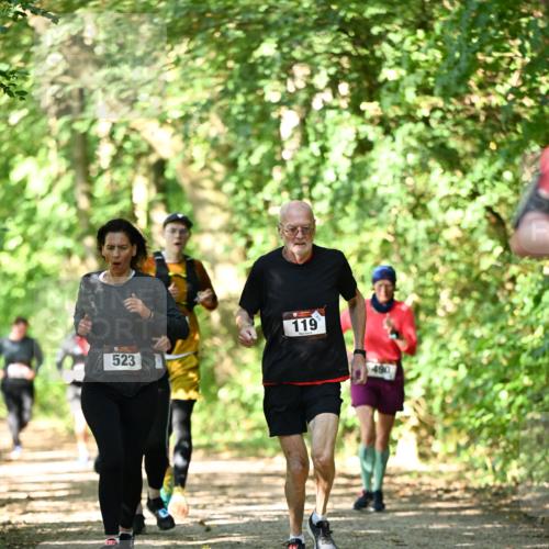 06.10.2024 - Bramfelder Halbmarathon 2024 Dr. Thomas Lammeyer http://msf.ph/oto/7341537 06.10.2024 10:50:00 Laufen 523, 119, 490 meine-sportfotos.de