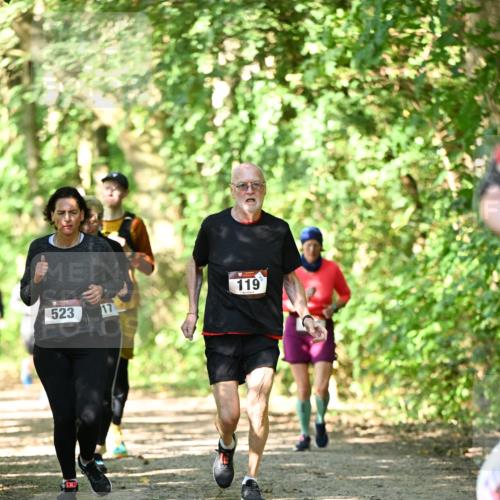 06.10.2024 - Bramfelder Halbmarathon 2024 Dr. Thomas Lammeyer http://msf.ph/oto/7341539 06.10.2024 10:50:00 Laufen 523, 17, 119 meine-sportfotos.de