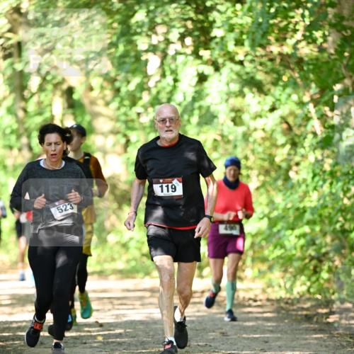 06.10.2024 - Bramfelder Halbmarathon 2024 Dr. Thomas Lammeyer http://msf.ph/oto/7341541 06.10.2024 10:50:01 Laufen 523, 119, 490 meine-sportfotos.de