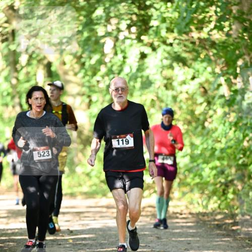 06.10.2024 - Bramfelder Halbmarathon 2024 Dr. Thomas Lammeyer http://msf.ph/oto/7341542 06.10.2024 10:50:01 Laufen 119, 523 meine-sportfotos.de