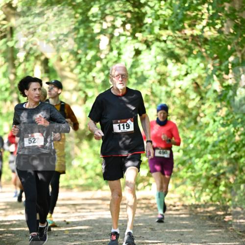 06.10.2024 - Bramfelder Halbmarathon 2024 Dr. Thomas Lammeyer http://msf.ph/oto/7341543 06.10.2024 10:50:01 Laufen 522, 119, 490 meine-sportfotos.de