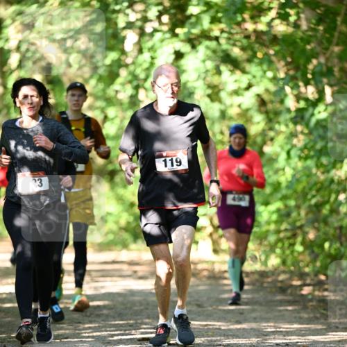 06.10.2024 - Bramfelder Halbmarathon 2024 Dr. Thomas Lammeyer http://msf.ph/oto/7341548 06.10.2024 10:50:02 Laufen 23, 119, 490 meine-sportfotos.de