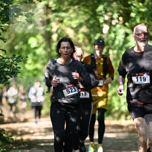 06.10.2024 - Bramfelder Halbmarathon 2024 Dr. Thomas Lammeyer http://msf.ph/oto/7341553 06.10.2024 10:50:03 Laufen 213, 523, 119 meine-sportfotos.de