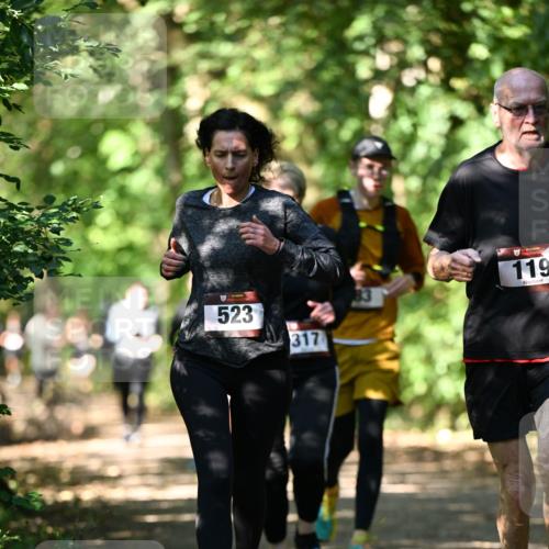 06.10.2024 - Bramfelder Halbmarathon 2024 Dr. Thomas Lammeyer http://msf.ph/oto/7341554 06.10.2024 10:50:03 Laufen 523, 317, 119 meine-sportfotos.de