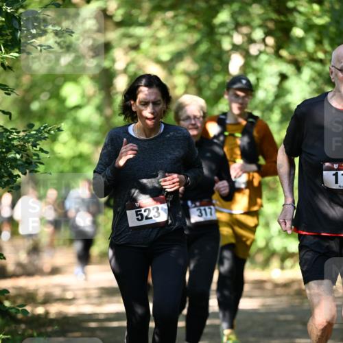 06.10.2024 - Bramfelder Halbmarathon 2024 Dr. Thomas Lammeyer http://msf.ph/oto/7341556 06.10.2024 10:50:03 Laufen 523, 317, 11 meine-sportfotos.de