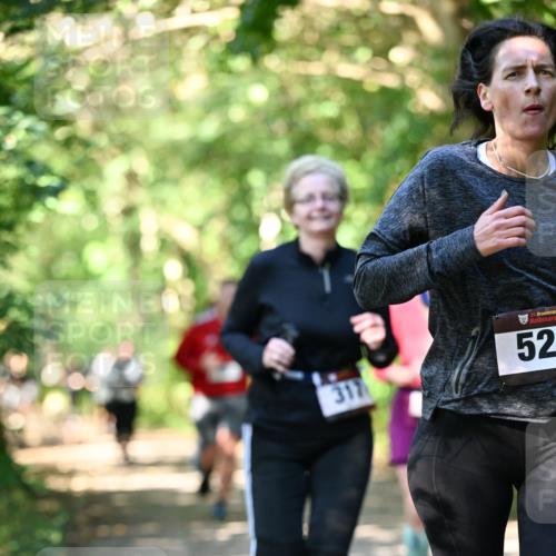 06.10.2024 - Bramfelder Halbmarathon 2024 Dr. Thomas Lammeyer http://msf.ph/oto/7341567 06.10.2024 10:50:06 Laufen 317, 33, 52 meine-sportfotos.de