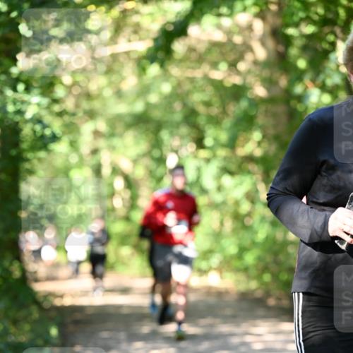 06.10.2024 - Bramfelder Halbmarathon 2024 Dr. Thomas Lammeyer http://msf.ph/oto/7341573 06.10.2024 10:50:08 Laufen  meine-sportfotos.de