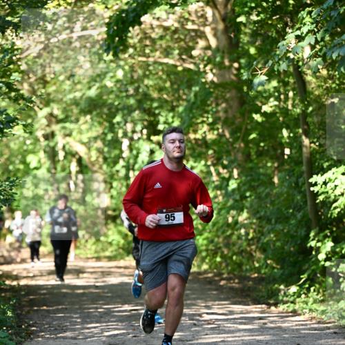 06.10.2024 - Bramfelder Halbmarathon 2024 Dr. Thomas Lammeyer http://msf.ph/oto/7341580 06.10.2024 10:50:09 Laufen 95 meine-sportfotos.de