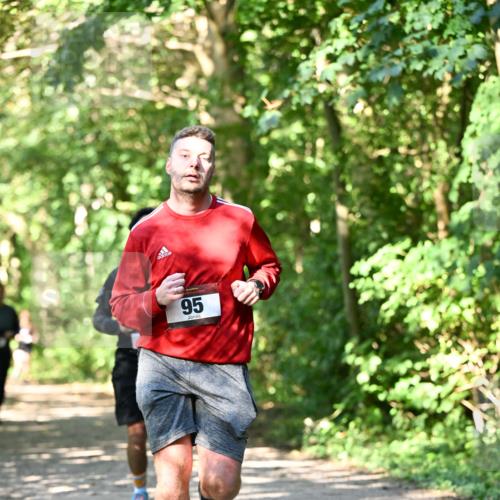 06.10.2024 - Bramfelder Halbmarathon 2024 Dr. Thomas Lammeyer http://msf.ph/oto/7341589 06.10.2024 10:50:11 Laufen 95 meine-sportfotos.de