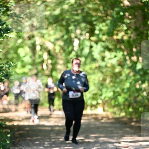 06.10.2024 - Bramfelder Halbmarathon 2024 Dr. Thomas Lammeyer http://msf.ph/oto/7341598 06.10.2024 10:50:14 Laufen  meine-sportfotos.de