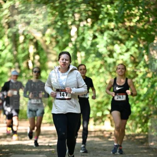06.10.2024 - Bramfelder Halbmarathon 2024 Dr. Thomas Lammeyer http://msf.ph/oto/7341624 06.10.2024 10:50:20 Laufen 147, 263 meine-sportfotos.de