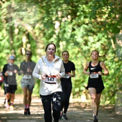 06.10.2024 - Bramfelder Halbmarathon 2024 Dr. Thomas Lammeyer http://msf.ph/oto/7341625 06.10.2024 10:50:20 Laufen 263, 147 meine-sportfotos.de