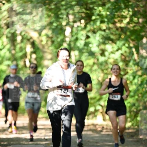 06.10.2024 - Bramfelder Halbmarathon 2024 Dr. Thomas Lammeyer http://msf.ph/oto/7341626 06.10.2024 10:50:20 Laufen 147, 263 meine-sportfotos.de
