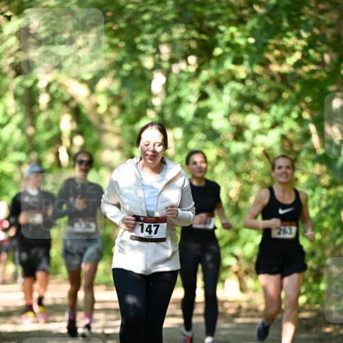 06.10.2024 - Bramfelder Halbmarathon 2024 Dr. Thomas Lammeyer http://msf.ph/oto/7341628 06.10.2024 10:50:20 Laufen 147, 263 meine-sportfotos.de