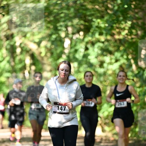 06.10.2024 - Bramfelder Halbmarathon 2024 Dr. Thomas Lammeyer http://msf.ph/oto/7341630 06.10.2024 10:50:20 Laufen 147, 263 meine-sportfotos.de