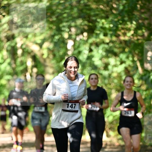 06.10.2024 - Bramfelder Halbmarathon 2024 Dr. Thomas Lammeyer http://msf.ph/oto/7341631 06.10.2024 10:50:21 Laufen 147, 263 meine-sportfotos.de