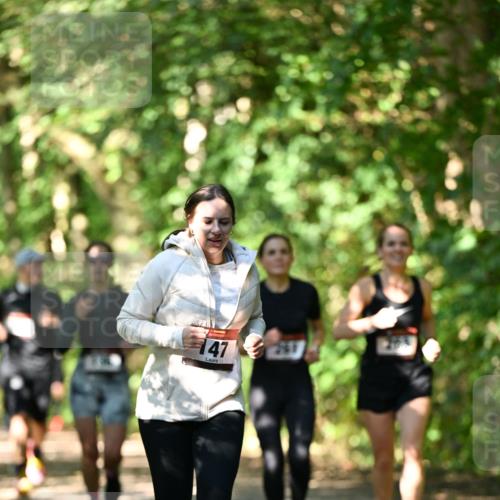 06.10.2024 - Bramfelder Halbmarathon 2024 Dr. Thomas Lammeyer http://msf.ph/oto/7341632 06.10.2024 10:50:21 Laufen 147 meine-sportfotos.de