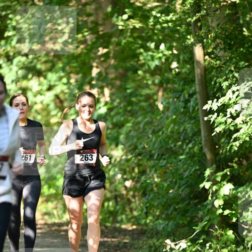 06.10.2024 - Bramfelder Halbmarathon 2024 Dr. Thomas Lammeyer http://msf.ph/oto/7341633 06.10.2024 10:50:21 Laufen 261, 263 meine-sportfotos.de