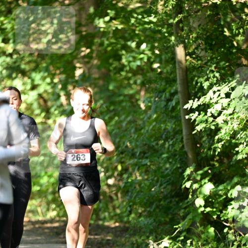 06.10.2024 - Bramfelder Halbmarathon 2024 Dr. Thomas Lammeyer http://msf.ph/oto/7341634 06.10.2024 10:50:22 Laufen 263 meine-sportfotos.de