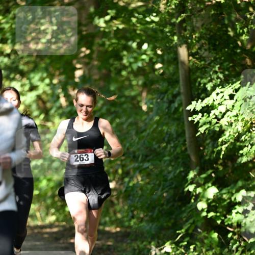 06.10.2024 - Bramfelder Halbmarathon 2024 Dr. Thomas Lammeyer http://msf.ph/oto/7341635 06.10.2024 10:50:22 Laufen 263 meine-sportfotos.de