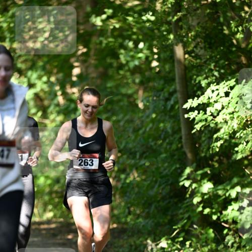 06.10.2024 - Bramfelder Halbmarathon 2024 Dr. Thomas Lammeyer http://msf.ph/oto/7341636 06.10.2024 10:50:22 Laufen 47, 1, 263 meine-sportfotos.de