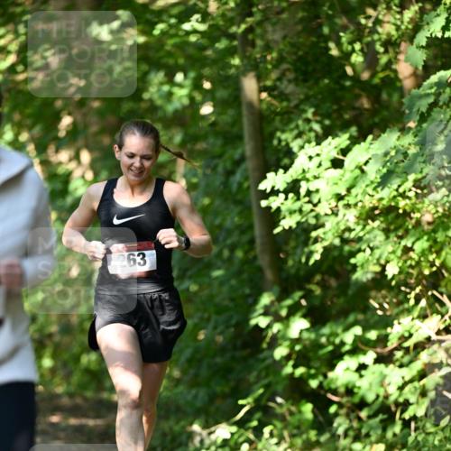 06.10.2024 - Bramfelder Halbmarathon 2024 Dr. Thomas Lammeyer http://msf.ph/oto/7341640 06.10.2024 10:50:22 Laufen 263 meine-sportfotos.de