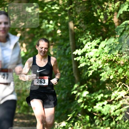 06.10.2024 - Bramfelder Halbmarathon 2024 Dr. Thomas Lammeyer http://msf.ph/oto/7341641 06.10.2024 10:50:23 Laufen 263 meine-sportfotos.de