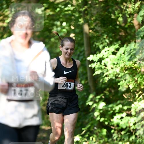 06.10.2024 - Bramfelder Halbmarathon 2024 Dr. Thomas Lammeyer http://msf.ph/oto/7341643 06.10.2024 10:50:23 Laufen 147, 263 meine-sportfotos.de