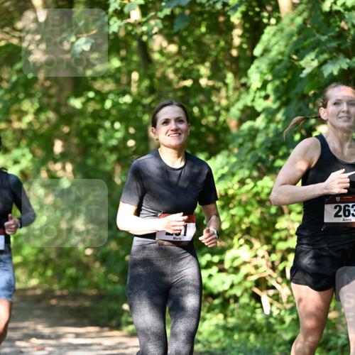 06.10.2024 - Bramfelder Halbmarathon 2024 Dr. Thomas Lammeyer http://msf.ph/oto/7341648 06.10.2024 10:50:25 Laufen 263 meine-sportfotos.de