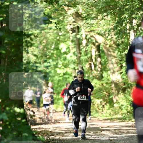 06.10.2024 - Bramfelder Halbmarathon 2024 Dr. Thomas Lammeyer http://msf.ph/oto/7341702 06.10.2024 10:50:37 Laufen 543 meine-sportfotos.de