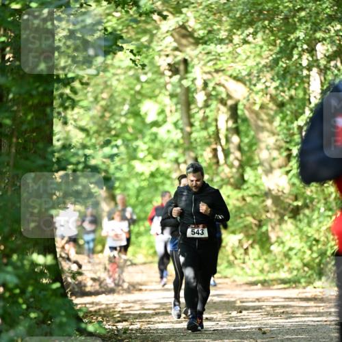 06.10.2024 - Bramfelder Halbmarathon 2024 Dr. Thomas Lammeyer http://msf.ph/oto/7341704 06.10.2024 10:50:38 Laufen 543 meine-sportfotos.de