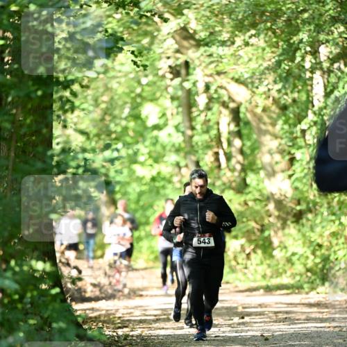 06.10.2024 - Bramfelder Halbmarathon 2024 Dr. Thomas Lammeyer http://msf.ph/oto/7341705 06.10.2024 10:50:38 Laufen 543 meine-sportfotos.de