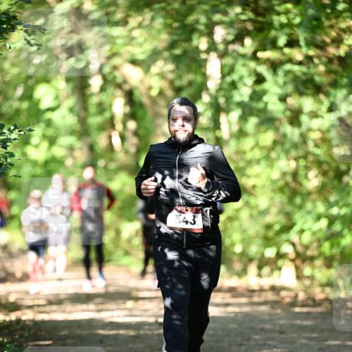 06.10.2024 - Bramfelder Halbmarathon 2024 Dr. Thomas Lammeyer http://msf.ph/oto/7341708 06.10.2024 10:50:42 Laufen  meine-sportfotos.de
