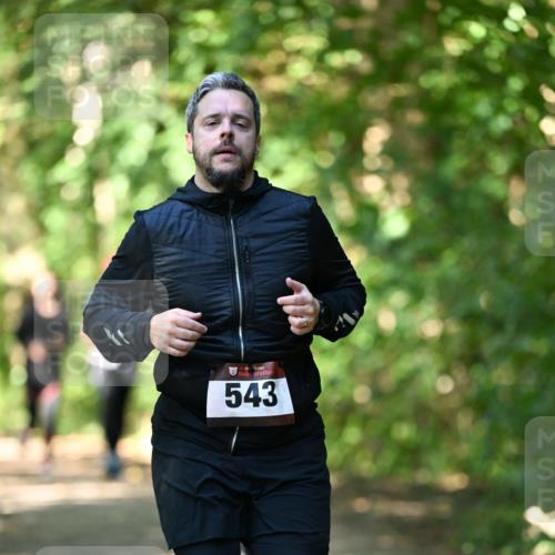 06.10.2024 - Bramfelder Halbmarathon 2024 Dr. Thomas Lammeyer http://msf.ph/oto/7341724 06.10.2024 10:50:44 Laufen 33, 543 meine-sportfotos.de