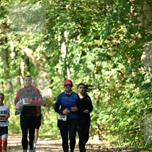 06.10.2024 - Bramfelder Halbmarathon 2024 Dr. Thomas Lammeyer http://msf.ph/oto/7341732 06.10.2024 10:50:48 Laufen 441, 203 meine-sportfotos.de