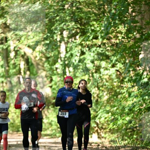 06.10.2024 - Bramfelder Halbmarathon 2024 Dr. Thomas Lammeyer http://msf.ph/oto/7341733 06.10.2024 10:50:48 Laufen 9, 203 meine-sportfotos.de
