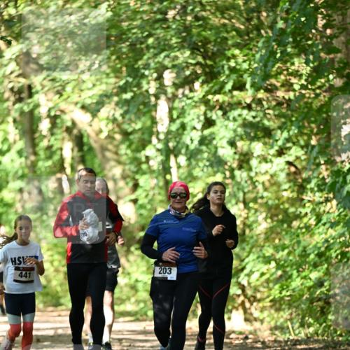 06.10.2024 - Bramfelder Halbmarathon 2024 Dr. Thomas Lammeyer http://msf.ph/oto/7341734 06.10.2024 10:50:48 Laufen 441, 203 meine-sportfotos.de