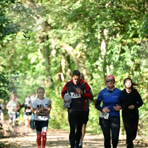 06.10.2024 - Bramfelder Halbmarathon 2024 Dr. Thomas Lammeyer http://msf.ph/oto/7341735 06.10.2024 10:50:48 Laufen 439, 203, 201 meine-sportfotos.de