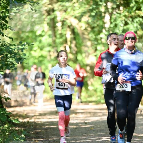 06.10.2024 - Bramfelder Halbmarathon 2024 Dr. Thomas Lammeyer http://msf.ph/oto/7341740 06.10.2024 10:50:51 Laufen 441, 203 meine-sportfotos.de