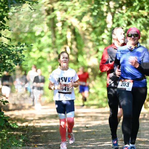 06.10.2024 - Bramfelder Halbmarathon 2024 Dr. Thomas Lammeyer http://msf.ph/oto/7341741 06.10.2024 10:50:51 Laufen 41, 203, 201 meine-sportfotos.de