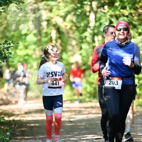 06.10.2024 - Bramfelder Halbmarathon 2024 Dr. Thomas Lammeyer http://msf.ph/oto/7341746 06.10.2024 10:50:52 Laufen 441, 203, 201 meine-sportfotos.de