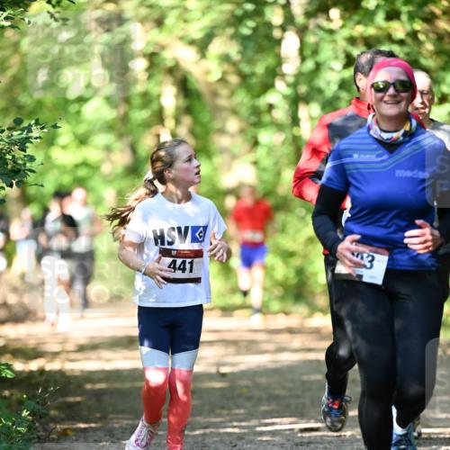 06.10.2024 - Bramfelder Halbmarathon 2024 Dr. Thomas Lammeyer http://msf.ph/oto/7341748 06.10.2024 10:50:52 Laufen 441, 3, 201 meine-sportfotos.de