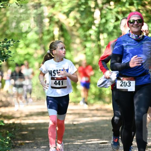 06.10.2024 - Bramfelder Halbmarathon 2024 Dr. Thomas Lammeyer http://msf.ph/oto/7341749 06.10.2024 10:50:52 Laufen 441, 203, 201 meine-sportfotos.de