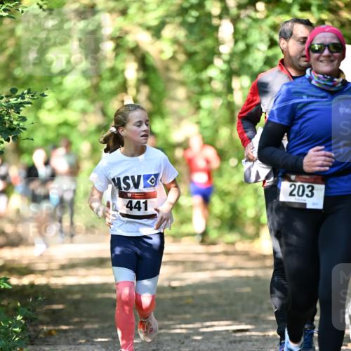 06.10.2024 - Bramfelder Halbmarathon 2024 Dr. Thomas Lammeyer http://msf.ph/oto/7341750 06.10.2024 10:50:52 Laufen 441, 203, 201 meine-sportfotos.de