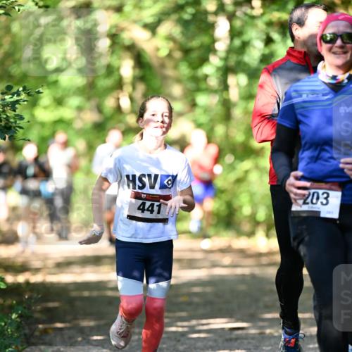 06.10.2024 - Bramfelder Halbmarathon 2024 Dr. Thomas Lammeyer http://msf.ph/oto/7341753 06.10.2024 10:50:53 Laufen 441, 203 meine-sportfotos.de