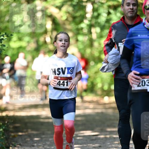 06.10.2024 - Bramfelder Halbmarathon 2024 Dr. Thomas Lammeyer http://msf.ph/oto/7341756 06.10.2024 10:50:53 Laufen 214, 3, 441, 203 meine-sportfotos.de