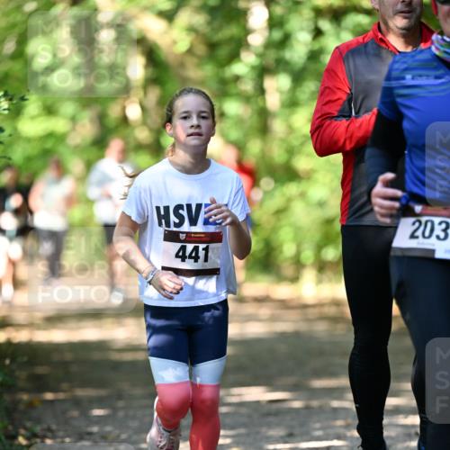 06.10.2024 - Bramfelder Halbmarathon 2024 Dr. Thomas Lammeyer http://msf.ph/oto/7341758 06.10.2024 10:50:53 Laufen 441, 203 meine-sportfotos.de