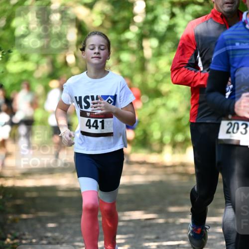 06.10.2024 - Bramfelder Halbmarathon 2024 Dr. Thomas Lammeyer http://msf.ph/oto/7341759 06.10.2024 10:50:53 Laufen 441, 203 meine-sportfotos.de